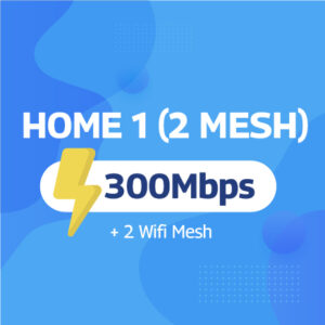 HOME 1 (2 Mesh)