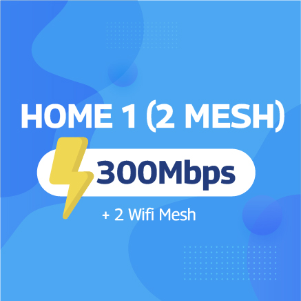 HOME 1 (2 Mesh)