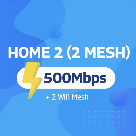 HOME 2 (2 Mesh)