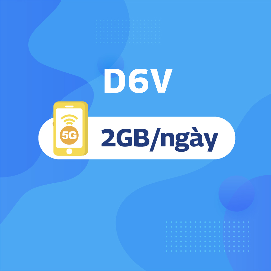 D6V